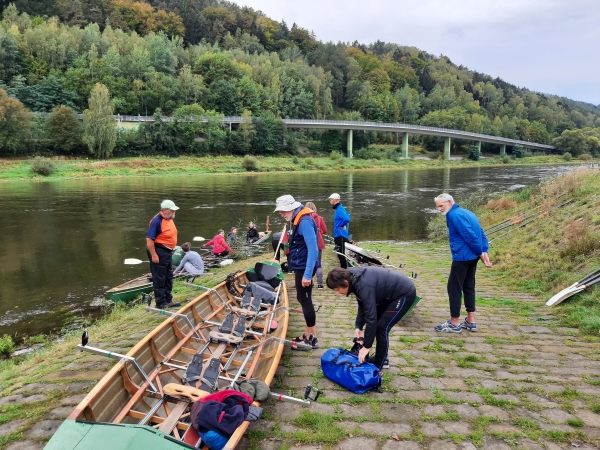 Schandau Ruderboote am Start Elbe 2020