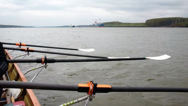 Seeschifffahrt auf der Donau 2019