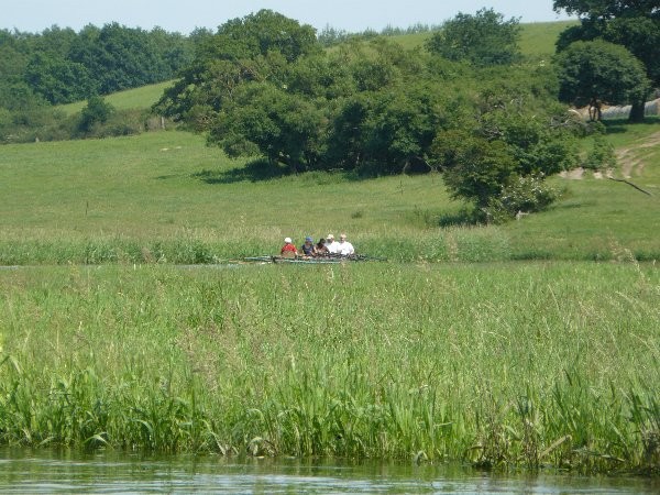 Tollense Boot auf der Wiese