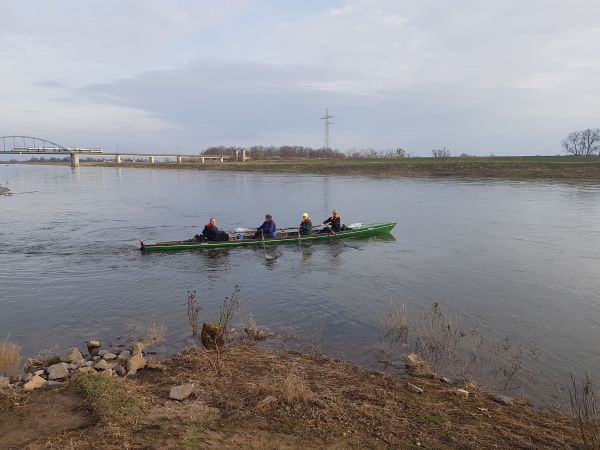 Torgau Ruderboot Elbe Marathon 2019