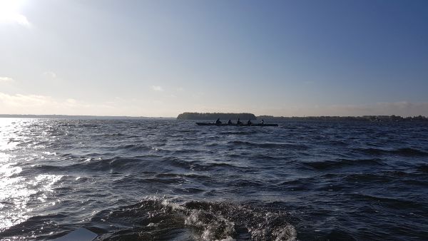 Vierer auf dem Goijmeer 2019