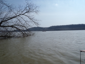 Vierer auf der Donau 2018