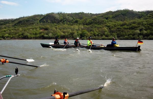 Vierer im ruppigen Wasser Donau 2019