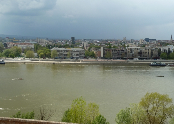 Vierer in Novi Sad Donau 2012