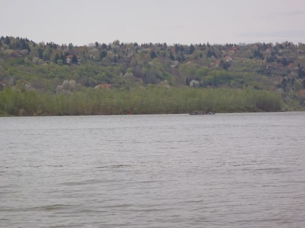 Vierer vor Steilufer Donau 2012