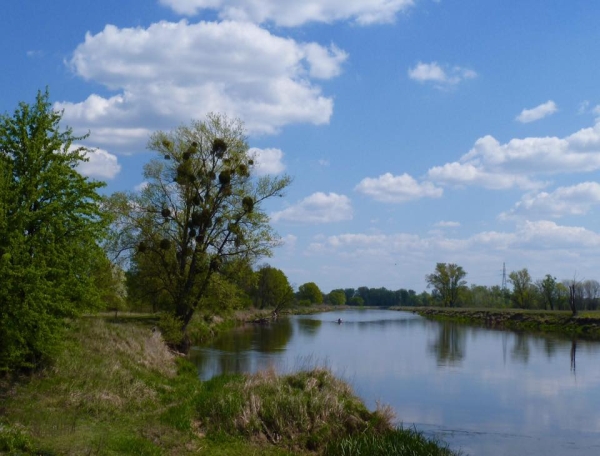 Warthe Idyll mit Ruderboot 2016