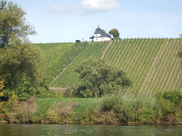 Weinberg mit Kapelle Mosel 2021