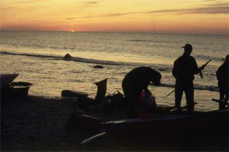 Ruderer am strand sonnenuntergang