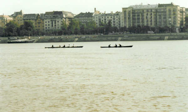 Ruderboote in Budapest