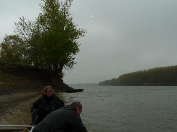 donau nach braila mieses wetter 2014