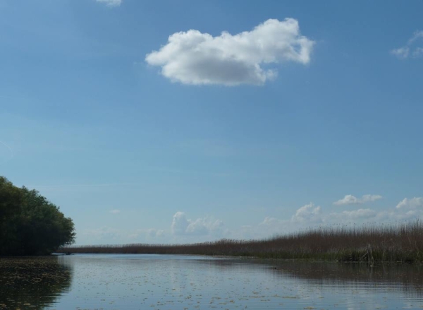 donaudelta schilf bis zum horizont donau 2014