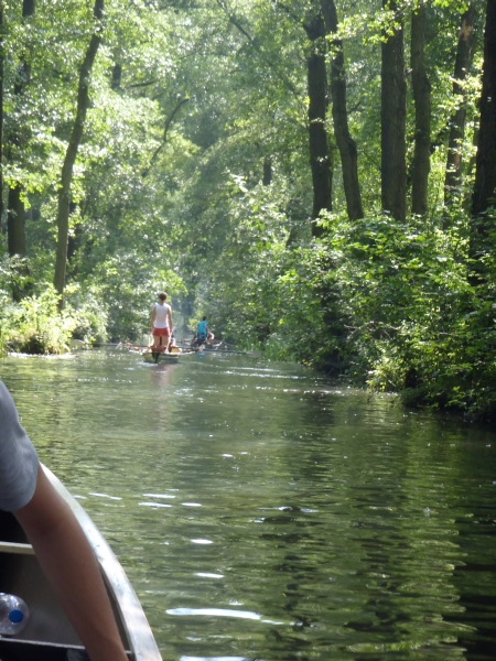 enger Graben Spreewald 2015