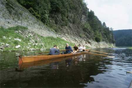 Rudervierer vor Felswand