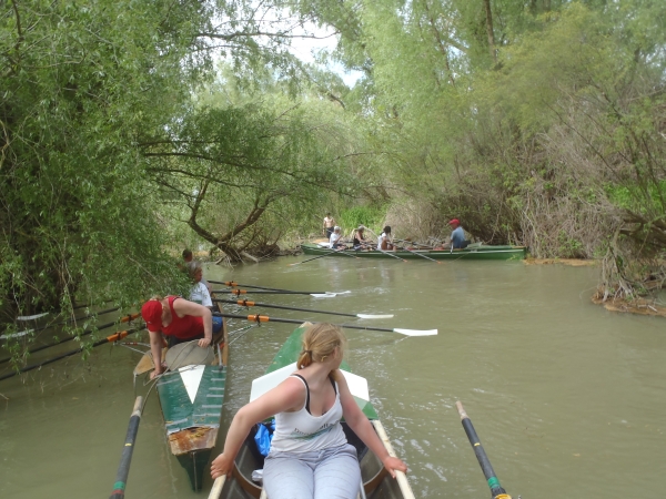 kanal crasnicol blockiert donau 2014