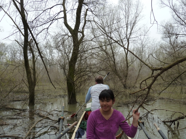 kleiner Ausflug ins Gestruepp Donau 2013