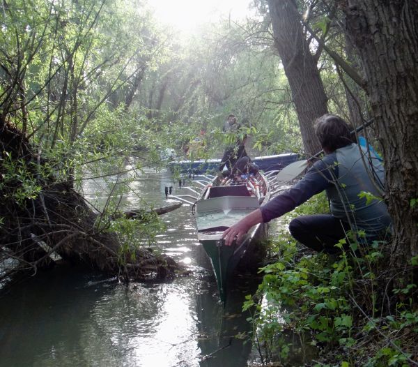 kleines Hindernis im Donaudelta 2019