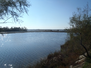 lagune von venedig teiche po 2014