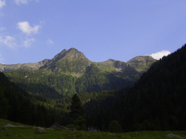 lp05_obertal