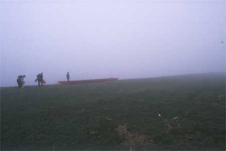 nebel am Elbufer Ruderboot