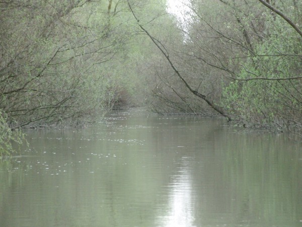 ruderbare Strecke im Donaudelta DD10