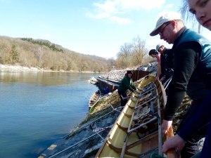 ruderboote auf der treppe donau 2015