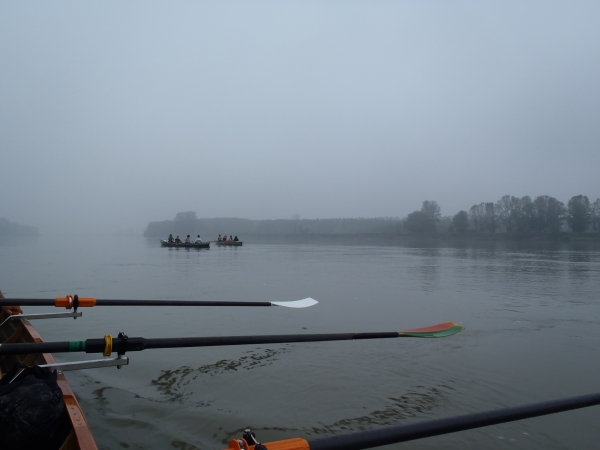ruderboote im Nebel Po 2014