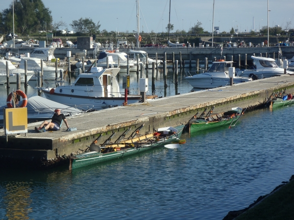 ruderboote im yachthafen po 2014