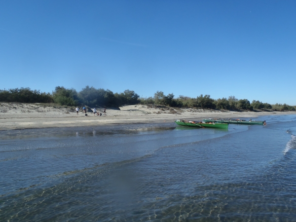 ruderer am strand der adria po 2014