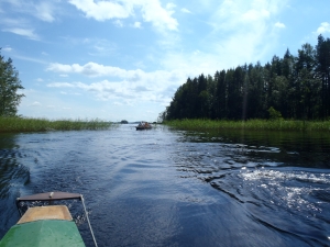 ruderer im nationalpark linnansaari saimaa 2014