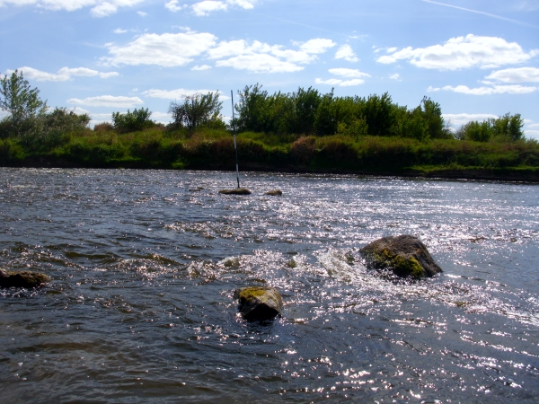 stromschnelle an der narew 2015