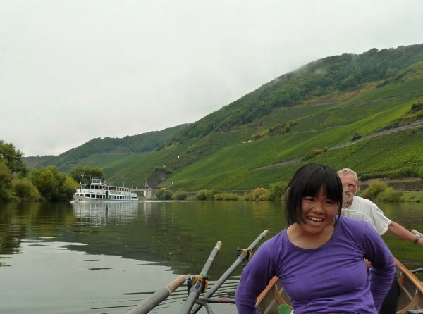 weinberge an der mosel 2013